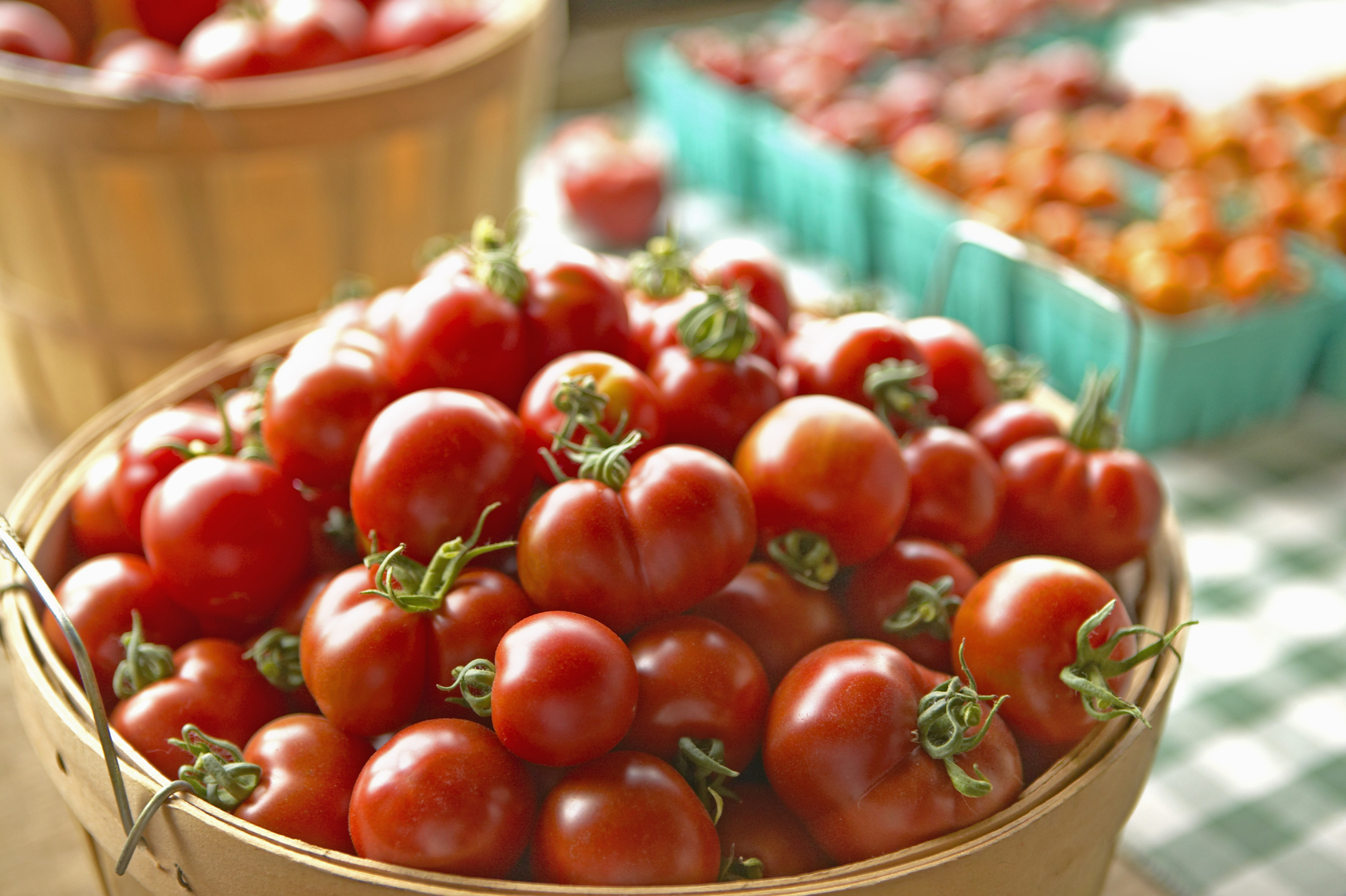Tomatoes in basket on table.