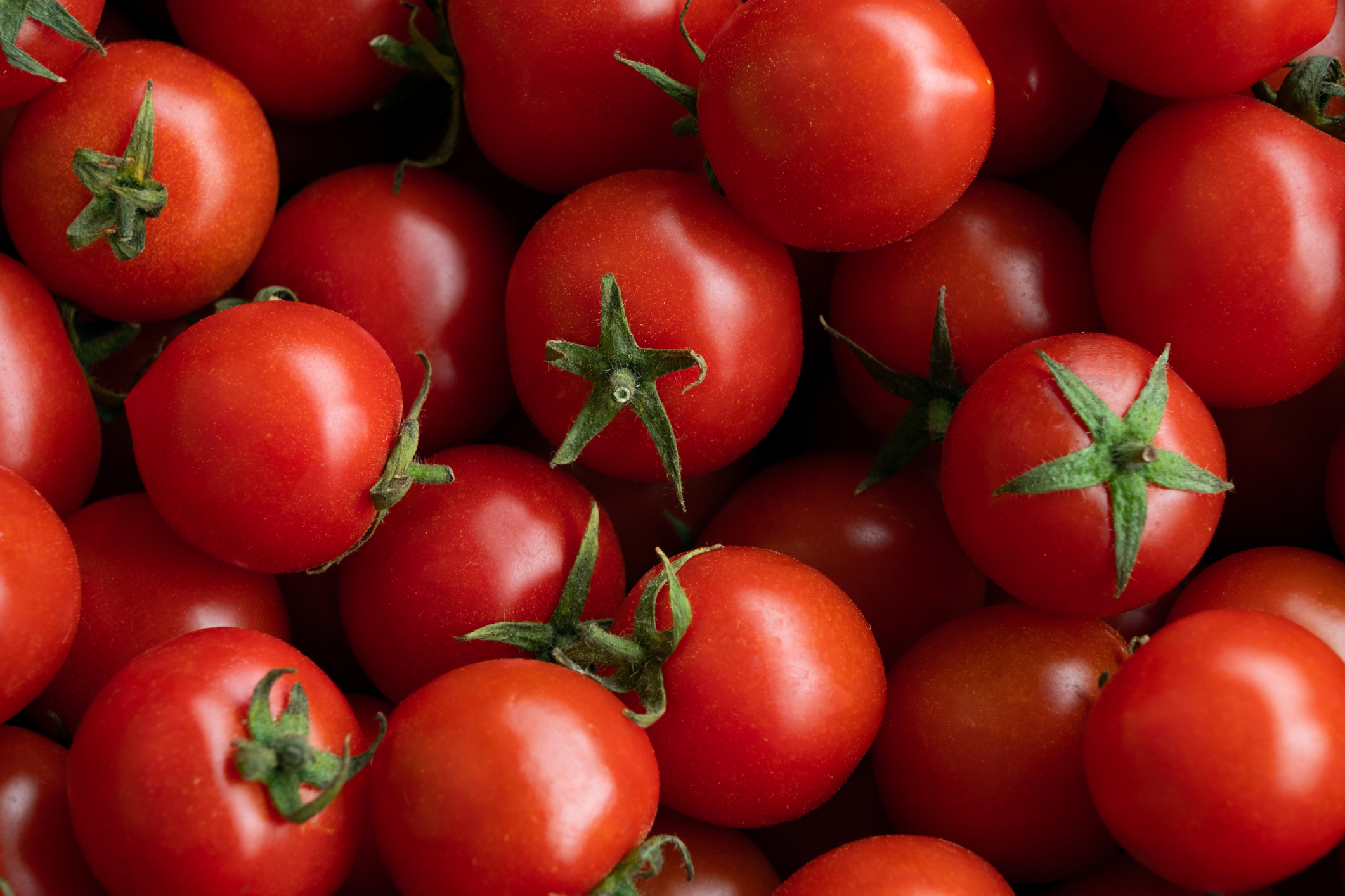 Ripe red cherry tomatoes at a retail market on a display table.
