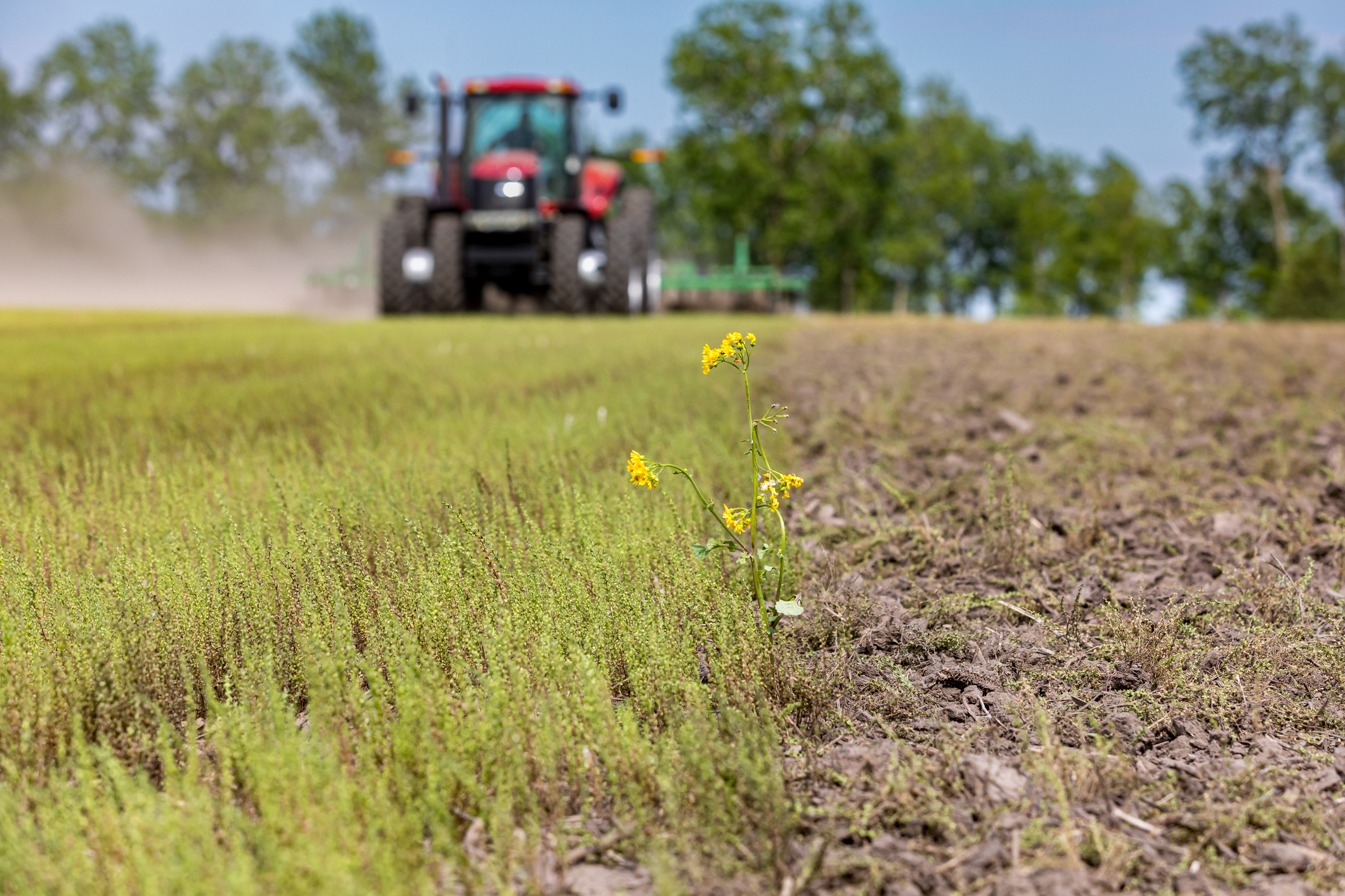 A farm being tilled by a tractor for corn planting