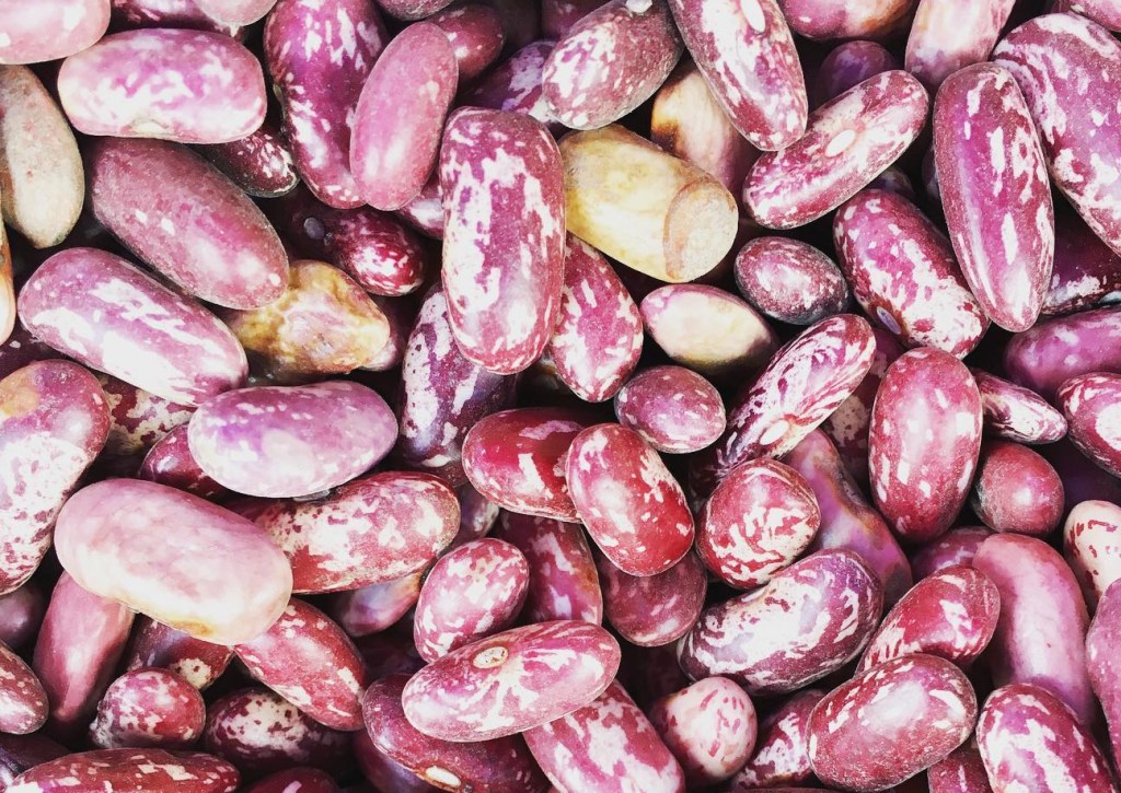 Dried nyota beans
