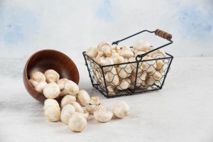 Kenya’s Mushroom Boom: Why Farmers Are Turning Fungi Into Serious Money in 2026