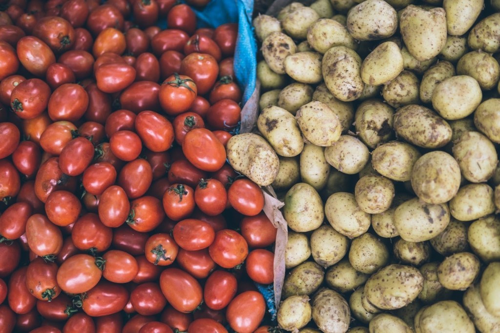 Potatoes and tomatoes after harvest