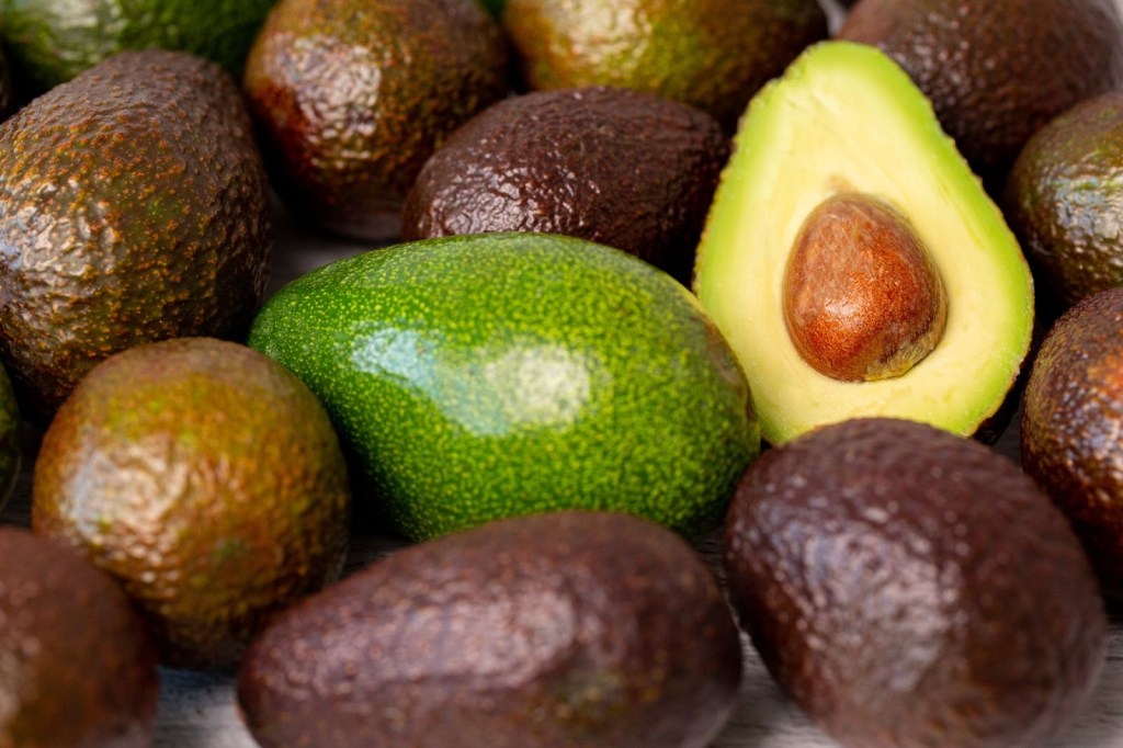 Kenya’s Hass Revolution: Why the Market Is Hot—and Why Quality Now Decides Everything